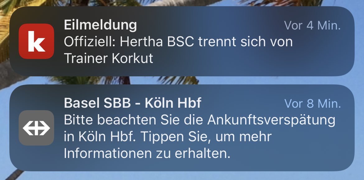therealcholi's tweet photo. Würde mal sagen, das war jetzt beides einigermassen erwartbar. Wobei ich bei Korkut noch etwas mehr überrascht bin. #CholisTrainLife https://t.co/1ifvUZIDll
