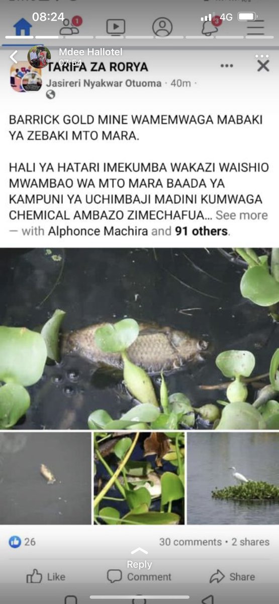 HecheJohn's tweet photo. Kuna taarifa za uhakika ya maji ya mto Mara kuonekana yamechafuliwa na utando mweusi, harufu kali, samaki kufa kwa wingi. Mto mara unamwaga maji ziwa Victoria.Maji ya ziwa Victoria na samaki wake wanatumiwa na mamilioni ya Watanzania.
Nitazungumza na vyombo vya habari kuhusu hili https://t.co/omGscoYpRo