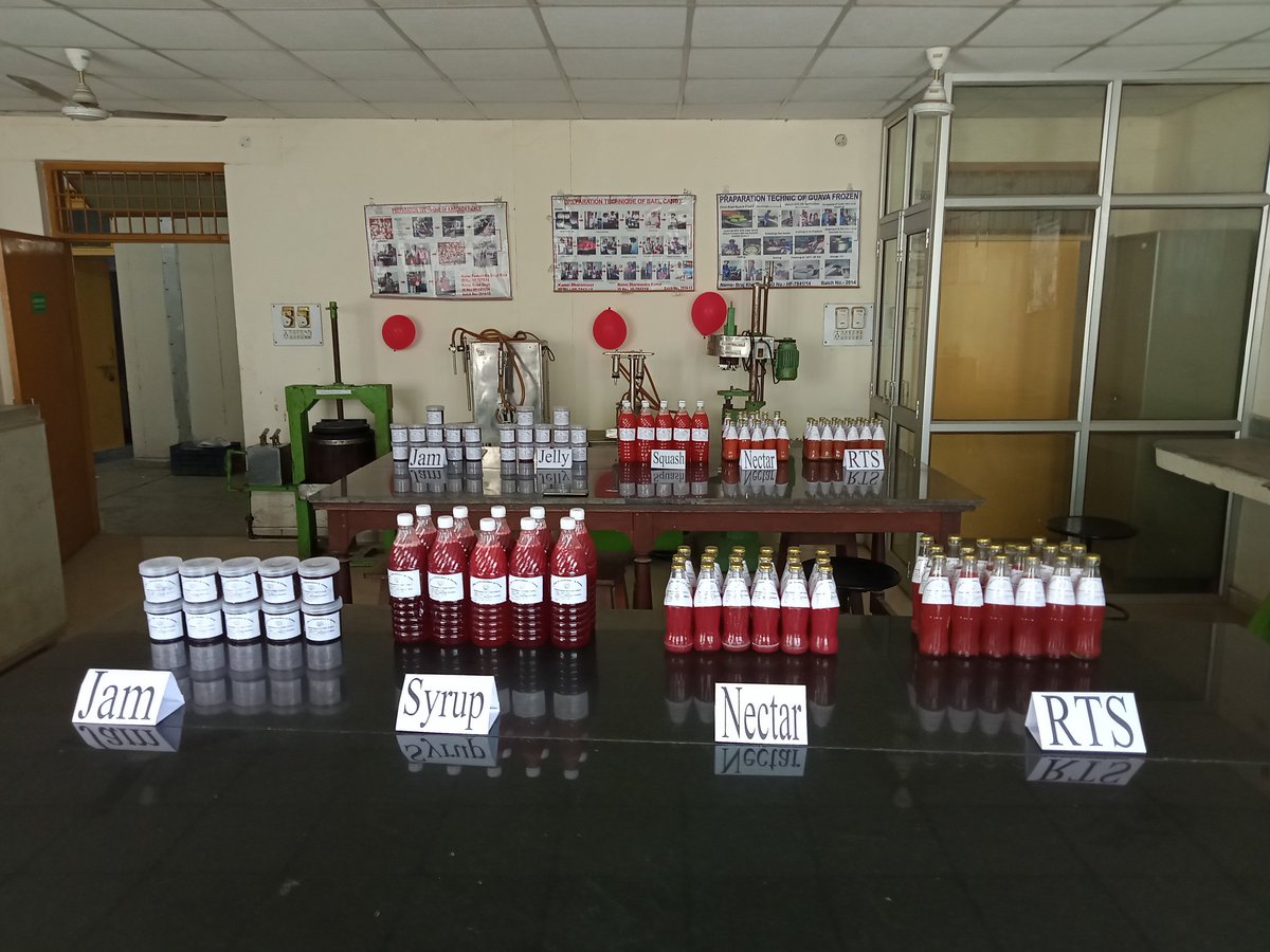 sharifullah_11's tweet photo. Processing and value addition of freshable fruits like (strawberry 🍓, grapes 🍇)  is trend of today market. we should be utilising that fruits which are remaining from our fresh utilisation convert to processing products, the will increase the income of farmers https://t.co/rwxhK9HafU