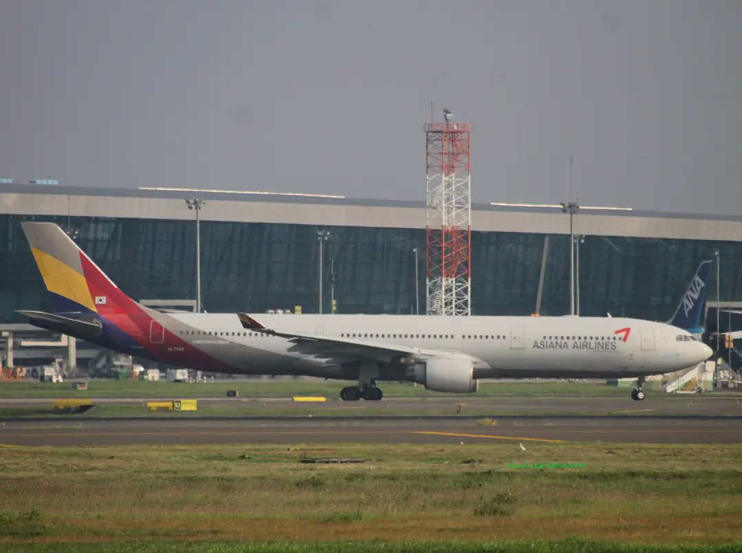 stamaviation's tweet photo. Usually only seen in the evening... ✈
. 
. 
 🇰🇷 Asiana Airlines (OZ/AAR)
✈️ Airbus 330-323 E
✈️ HL7747
. 
🇮🇩 CGK-WIII on 03 July 2021
@AsianaAirlines 
@staralliance 
@Airbus 
@AirbusGroupInc 
@shia_cgk 
@CGK_AP2 
@SH_Airport 
@AP_Airports 
@kfa_indonesia https://t.co/KckjG8AdrN