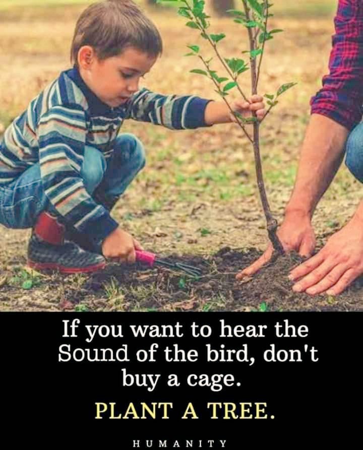 AkberAl28456735's tweet photo. Plant Now https://t.co/0w3eESf3x3