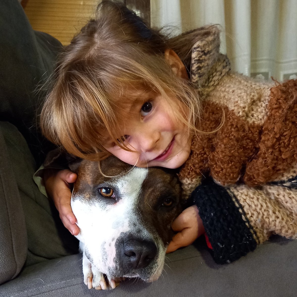 S38lBAM,🏎isis🐶love😍 Américanpitbull🇪🇸🇪🇸🇪🇸 tweet media