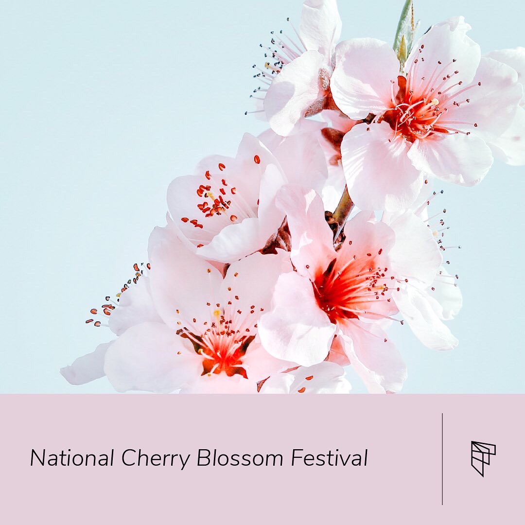 Furtherpass tweet media