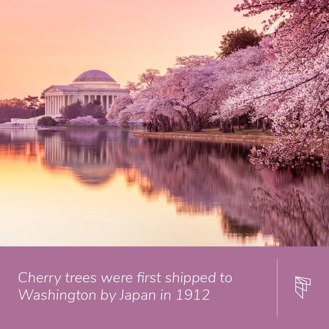 Furtherpass tweet media