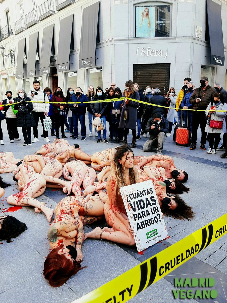 madrid_vegano's tweet photo. 📢 Esta mañana en #Madrid. Imágenes del acto que @AnimaNaturalis ha realizado en contra del uso de pieles #sinpiel
#MadridVegano #activismo #derechosanimales #animales #vegansofspain #veganosmadrid https://t.co/xN63hW9EYl