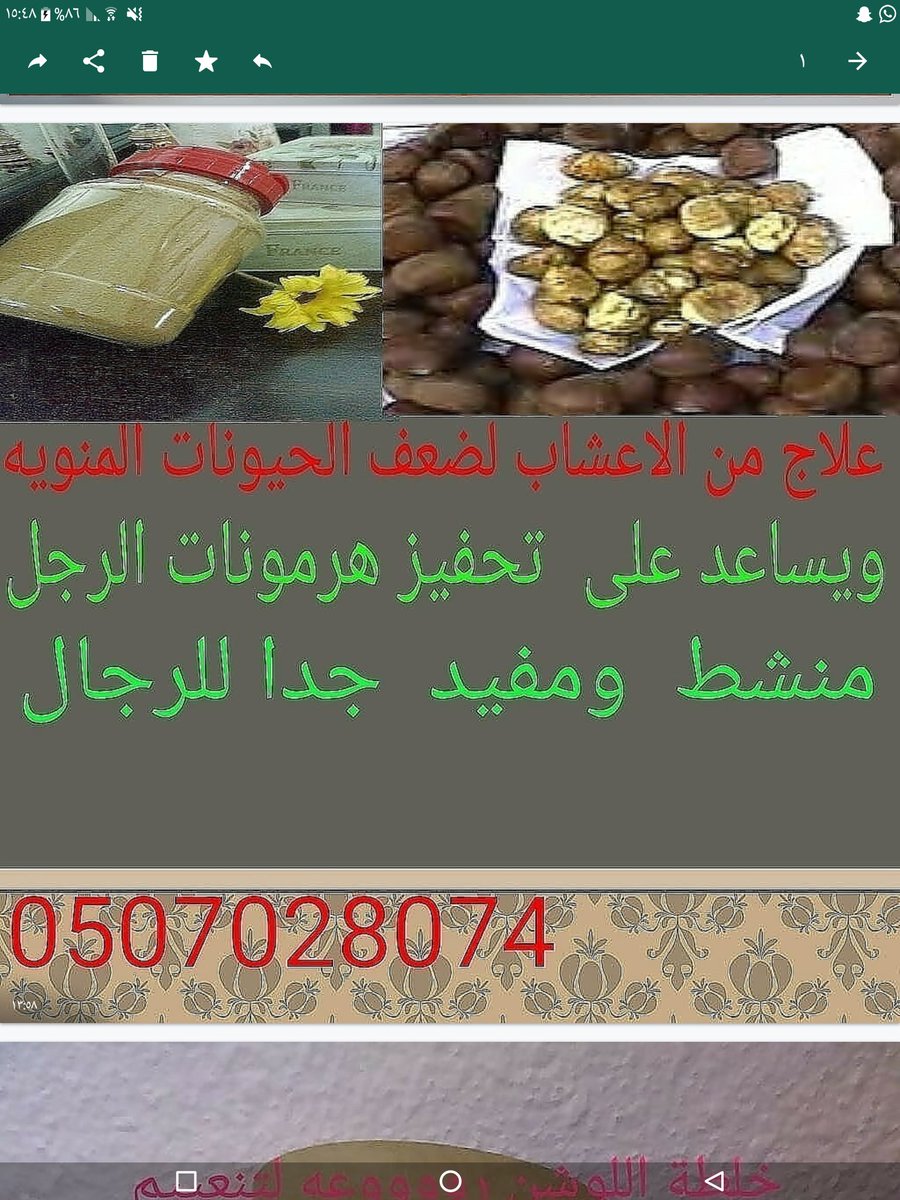 omfesal00's tweet photo. #طب_شعبي #علاج_الحمل #زيوت_الشعر #علاج_الألتصاقات #كورس_النفاس #حوايج_حريم #خلطات_تنحيف #علاجات_الأنسدادات #علاج_الضعف_للرجال https://t.co/jPQbo6Ji1q