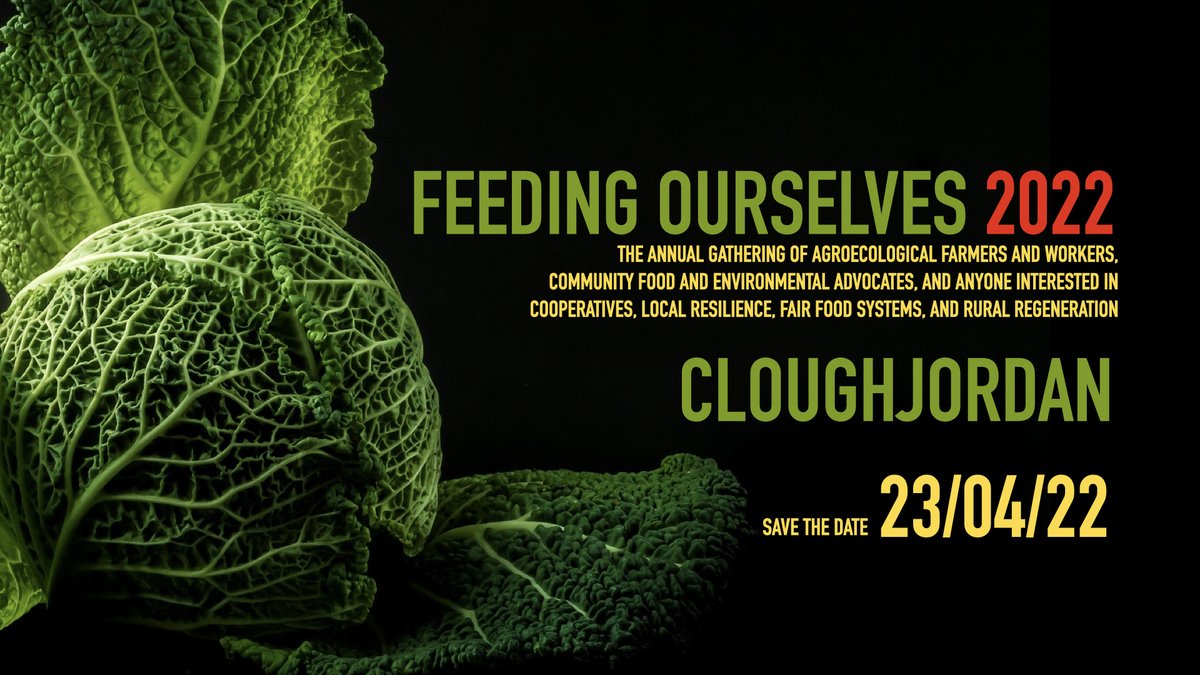 comresie's tweet photo. As we finalise plans for #FeedingOurselves22, the annual event in Cloughjordan, this article by Ruth Hegarty sets the context, busts some myths and points to a more resilient way forward. 
https://t.co/y4Epn6HdAi?

@TalamhBeo 
@FintanKeenan 
@RiotRye
@EggandChick
@IrelandSeedSov https://t.co/7gCglp5T4t
