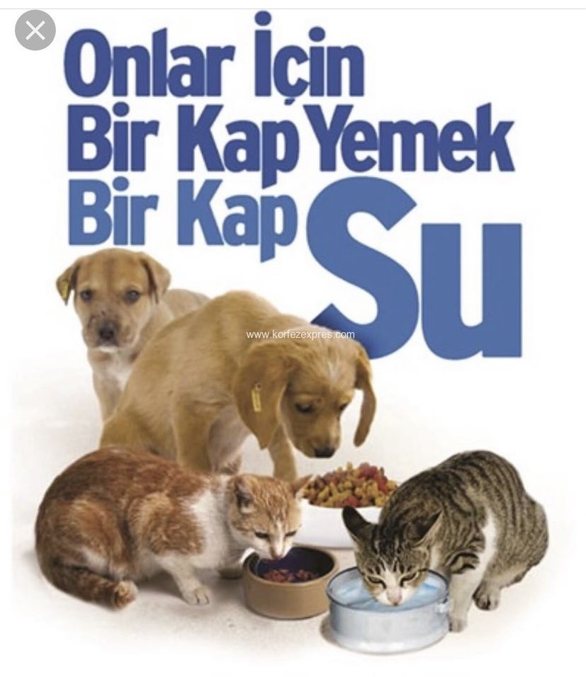 Canlarımızı unutmayalım🙏🏻