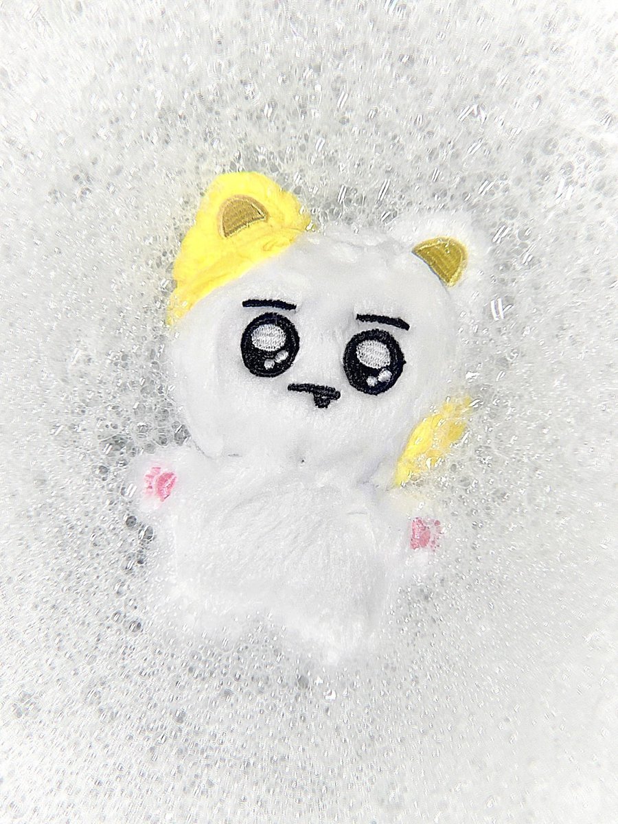 깡냥이 더러워서 샤워
너무 더러워