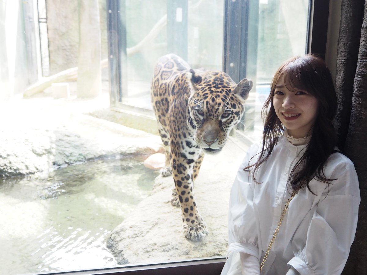 Nahoshii's tweet photo. 近くに来た時に撮れた📸😳🐘🦓💕 https://t.co/1C8lkMeBsO