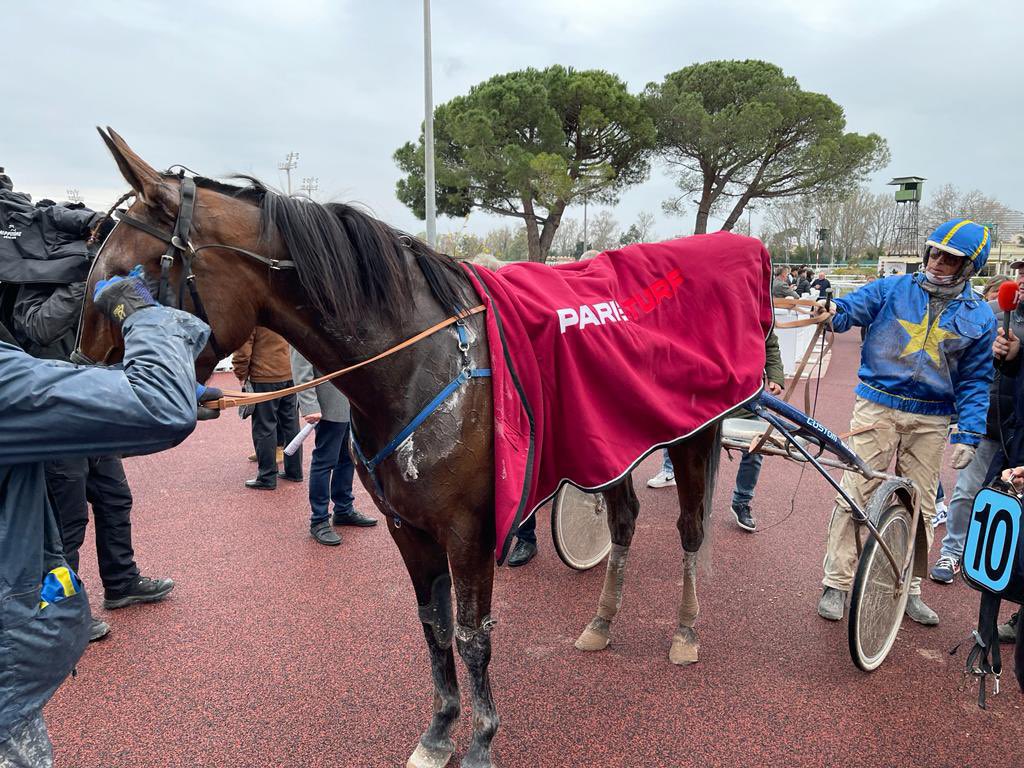 Paris_Turf tweet picture