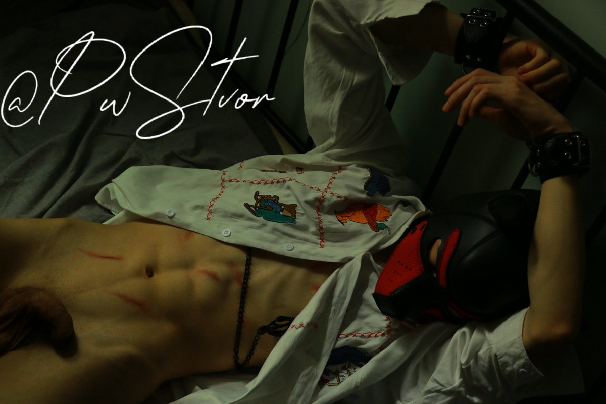 PwStvor's tweet photo. 路边捡到的“狗狗” https://t.co/up9TLFsH9r