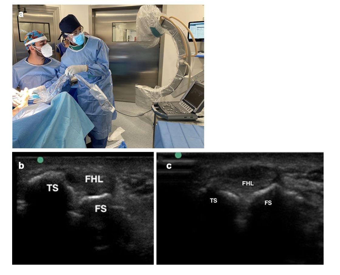 Dr. Fernando Jimenez tweet media