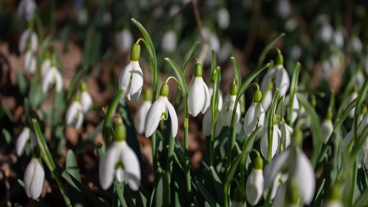 #NeverForgotten #Dunblane