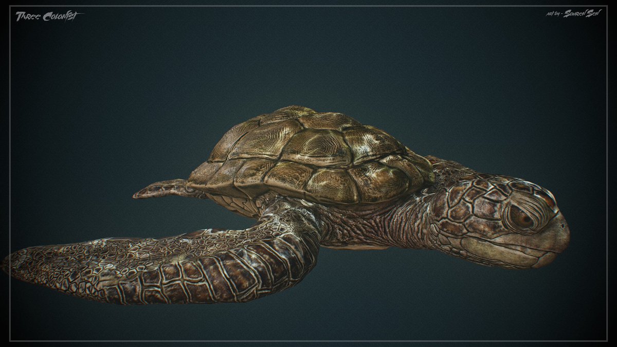 SenSouren's tweet photo. *CAREY*_*THE TURTLE*

@TheRookiesCO 
@ArtStationHQ
@threecolonist
@Substance3D
@marmosetco
@pixologic

#creatureart #3dart #3dmodeling #texture #marmosettoolbag #ocean #gamedesign #gamedevelopment #gameartist #wildlifephotography  #wildlife #digitalart #digitalsculpting https://t.co/yBwe2vh8FE