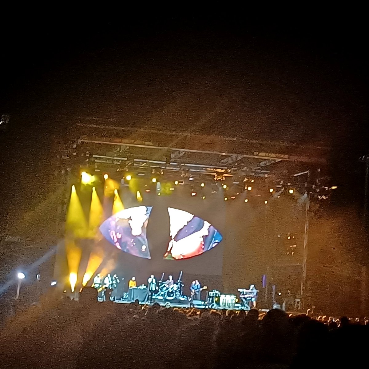MoiraWere's tweet photo. In the moonlight I'm with you #CatEmpire @WOMADelaide https://t.co/Dp4TD4OWB5