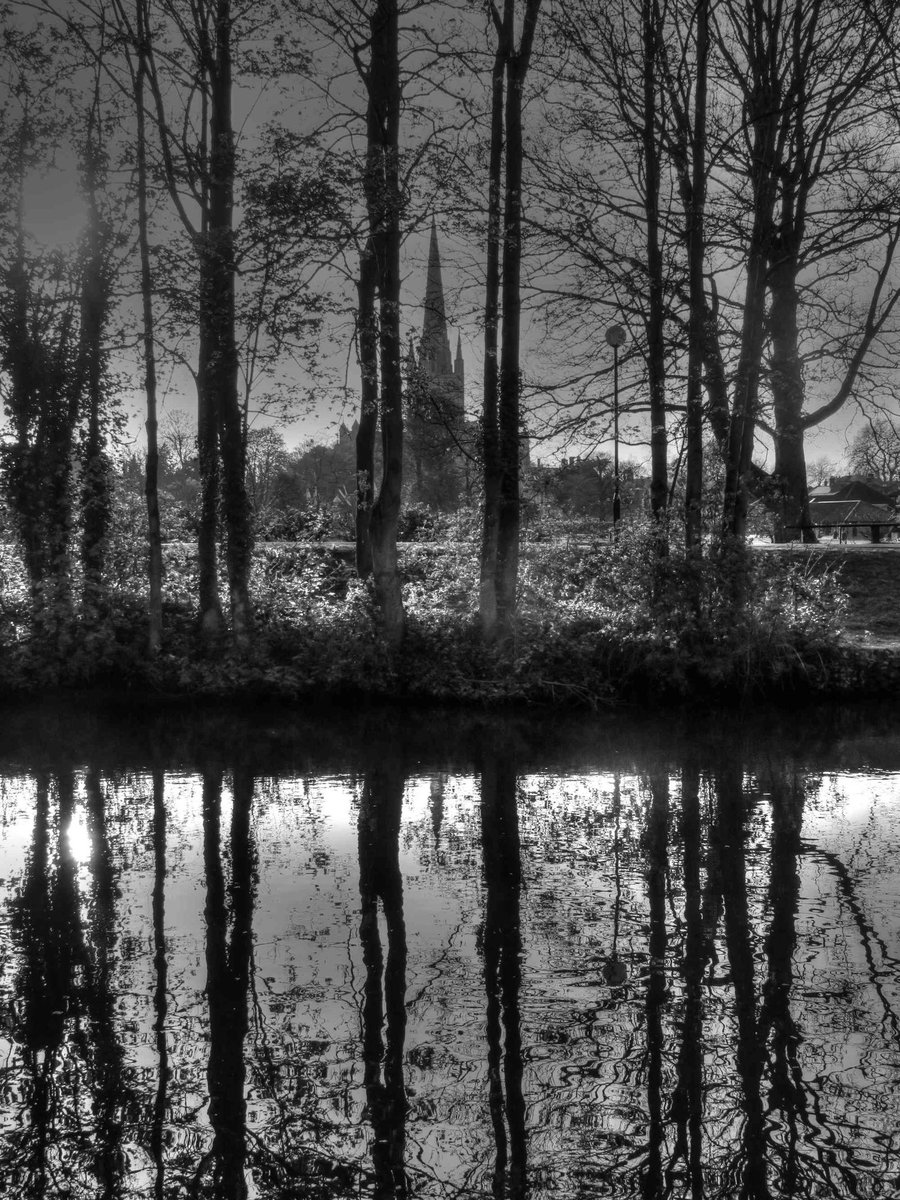 MyriadPhoto 📷 tweet media