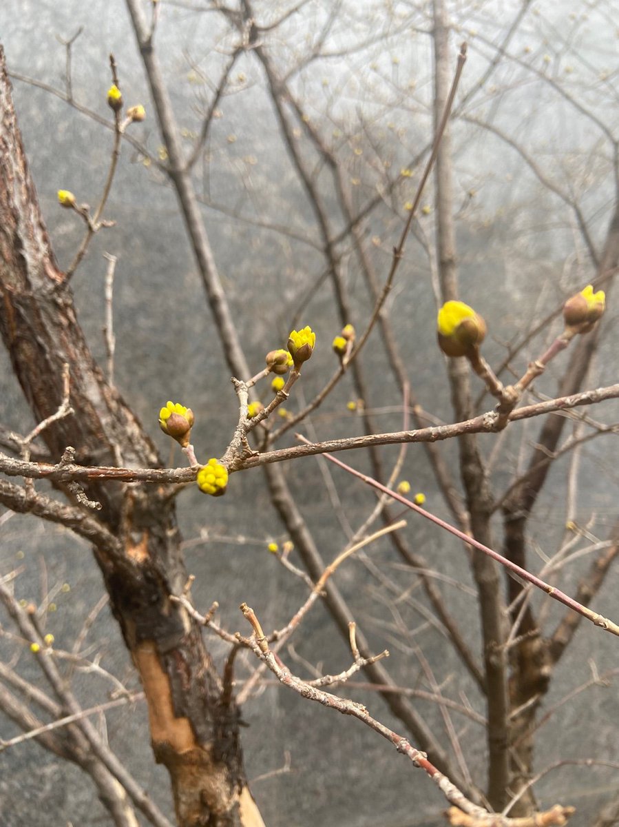 시선을 돌리니
꽃이 보이고 
나무가 보인다.

오직 정치만이
세상사 전부는 아니니
넓게 보고 둥글게 살자.

새봄에는
희망을 얘기하자.