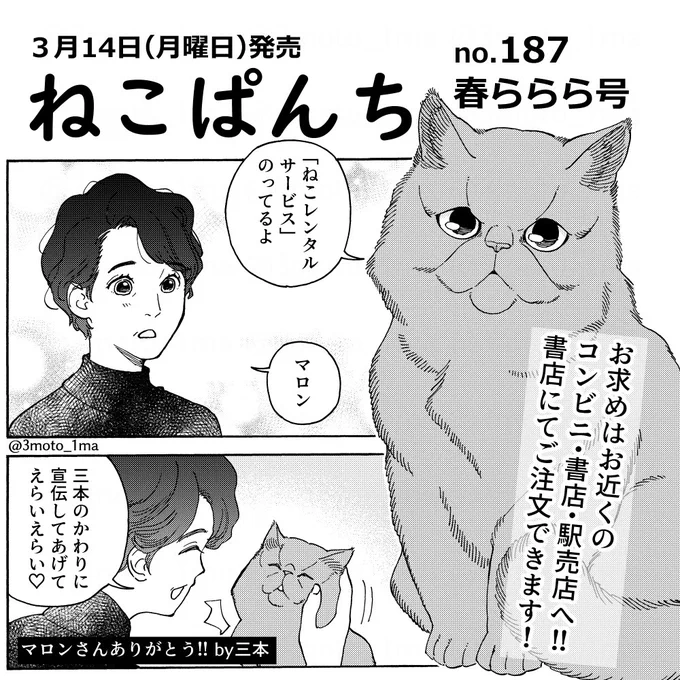 本日発売ねこぱんち!「ねこレンタルサービス」のってます! 