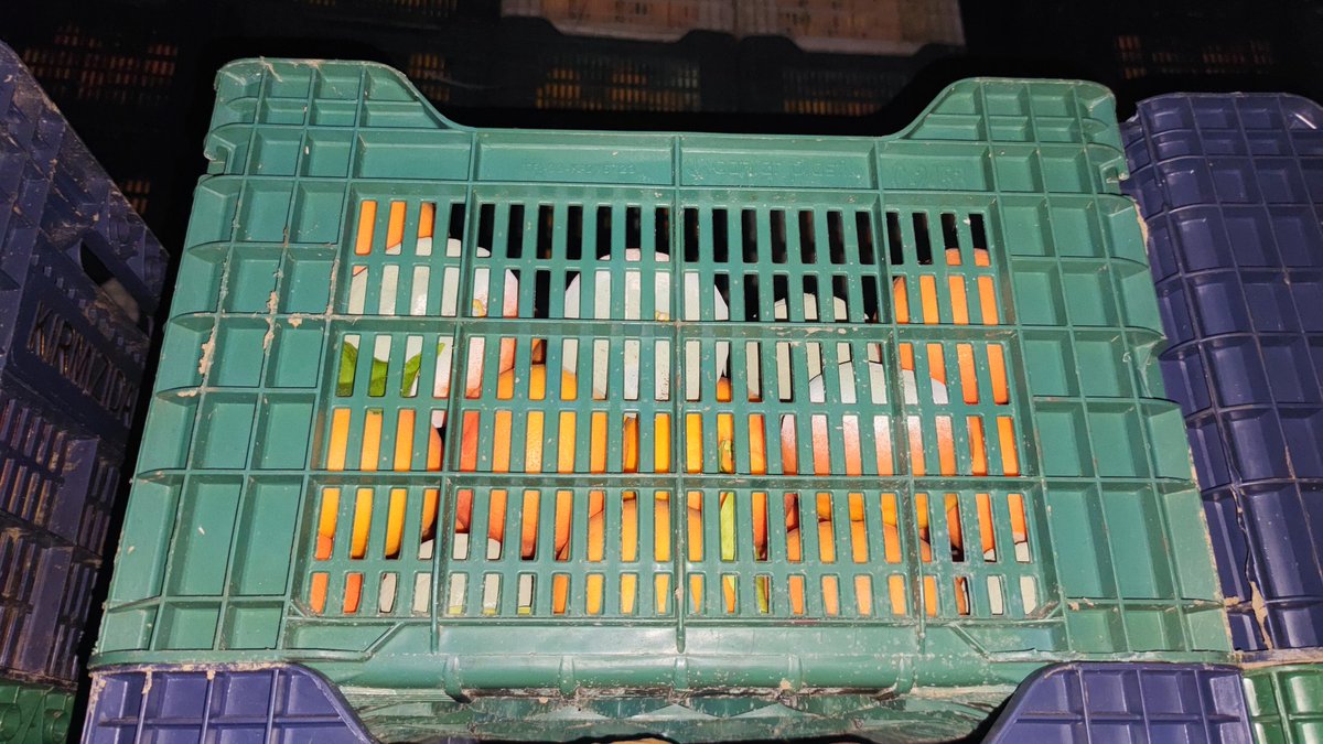 Understanding: #organik products contain app 80% water;Storing at an ambiant #humidity rates higher than the products self create the perfect soil for molds. Stay at max 85% with very low #mold and yeast spores count and #ethylene concentrations using Bluezone air purification.