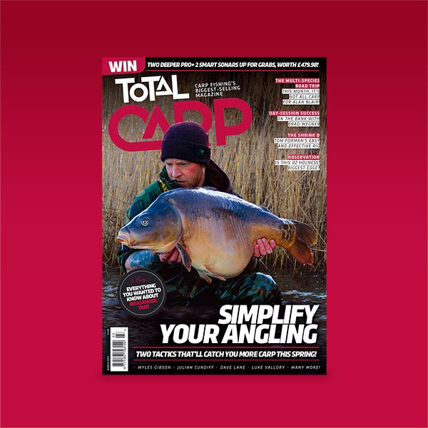 TotalCarpMag tweet media