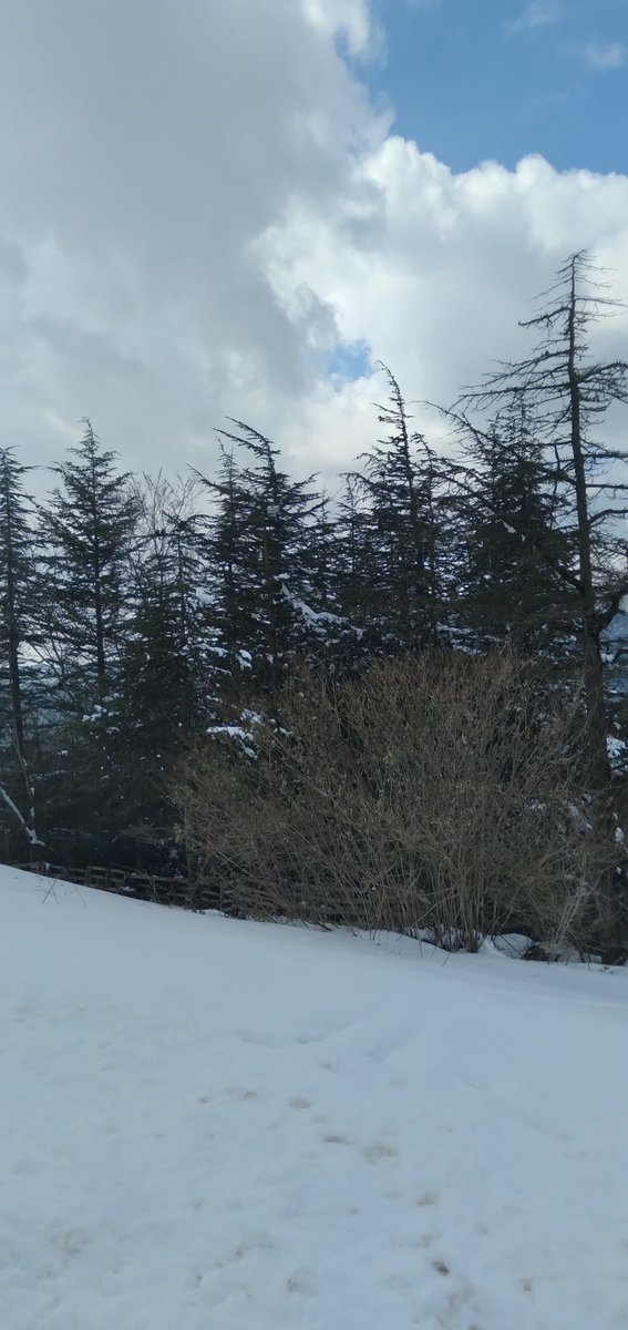 hazar80's tweet photo. #snowy https://t.co/zi40pkaURA