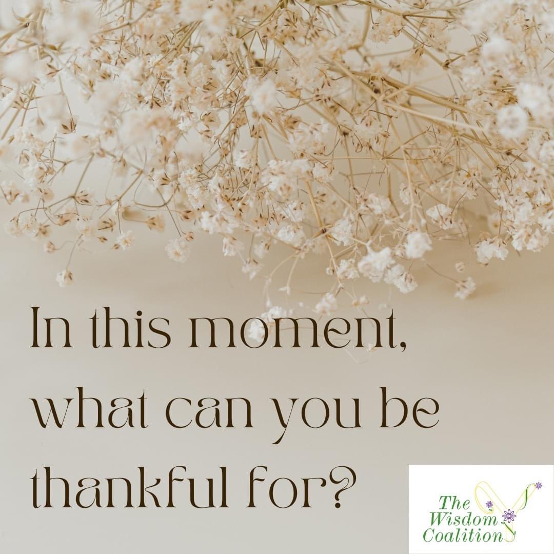 WisdomCoalition's tweet photo. If the only thing you can be thankful for is that you can read this post, that's a start. A solid #gratitudepractice❤️ can fill your life with joy!
#joyistheanswer #positivepsychology #findinnerpeace #findandfeeljoy #joyforall #joyandpeace #manageyourmindset #bestpodcasts https://t.co/CbrcKB5fmq