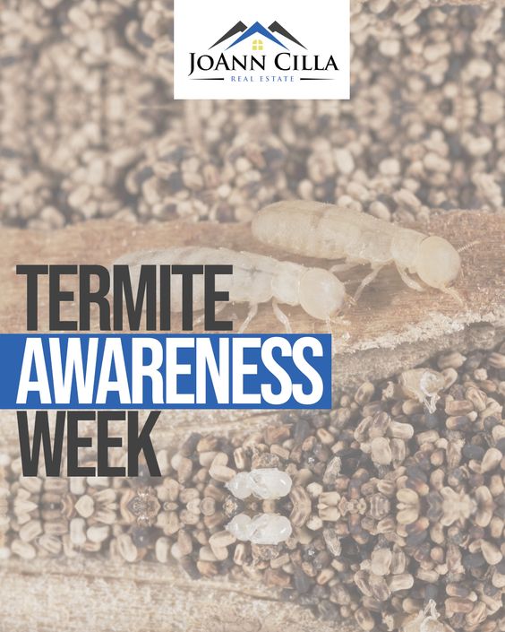 Does your home insurance cover termite damage?
#termiteawarenessweek #termiteinspection #termitetreatment #realestateadvice #realestate