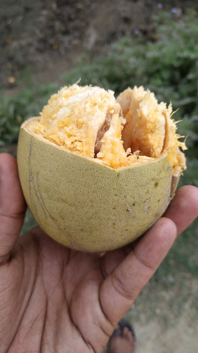 Delhiwalaboy's tweet image. कौन सा फल है बताना 🤷‍♂️