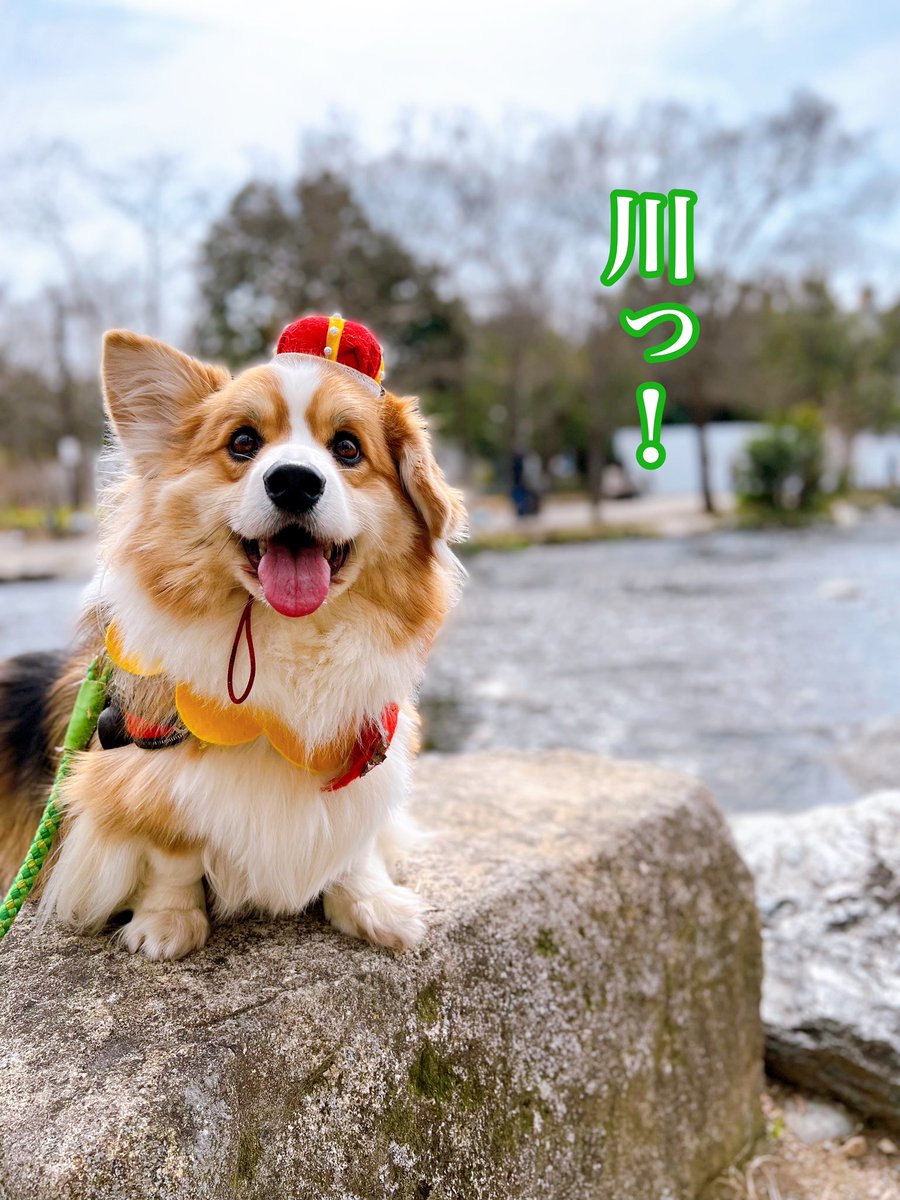 由香利 Rauansaku Twitter