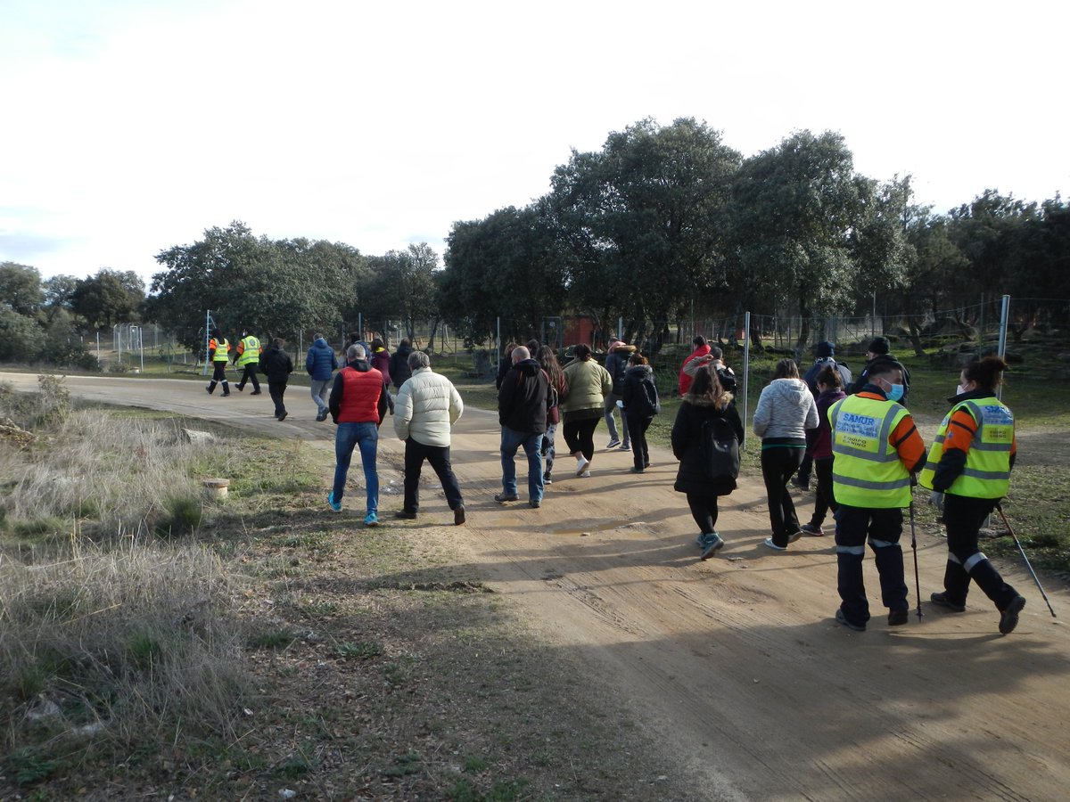 Equipo canino tweet media
