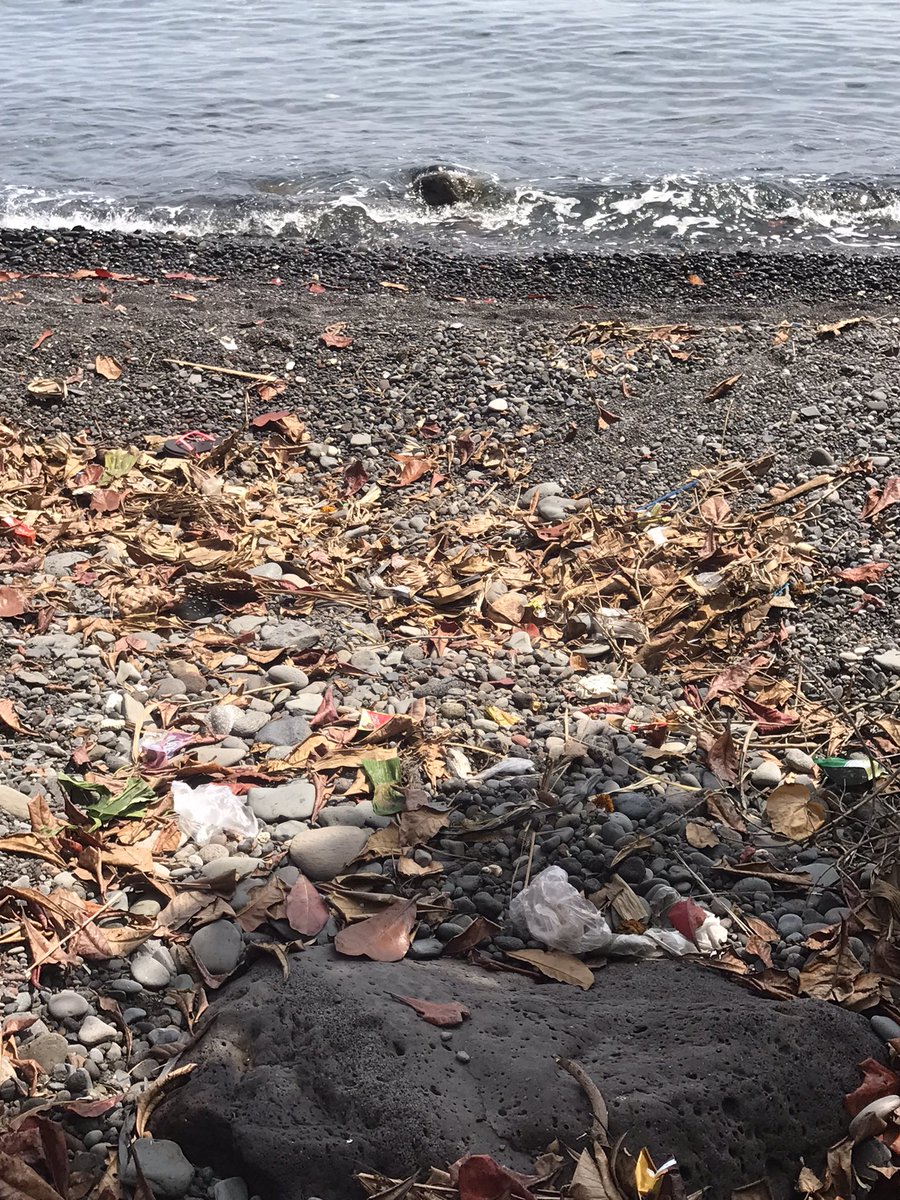 byGrowthProject's tweet photo. Clean-up week 8(3/13/22)
What a milestone! Though I wish I could say the same with the beach situation
The tides’ ebb and flow carry marine debris that were floating in the ocean aground and vice versa
But we’re hopeful, together we can #BeatPlasticPollution 
#letsgrow 
#CleanUp https://t.co/tWKbJfTzWp
