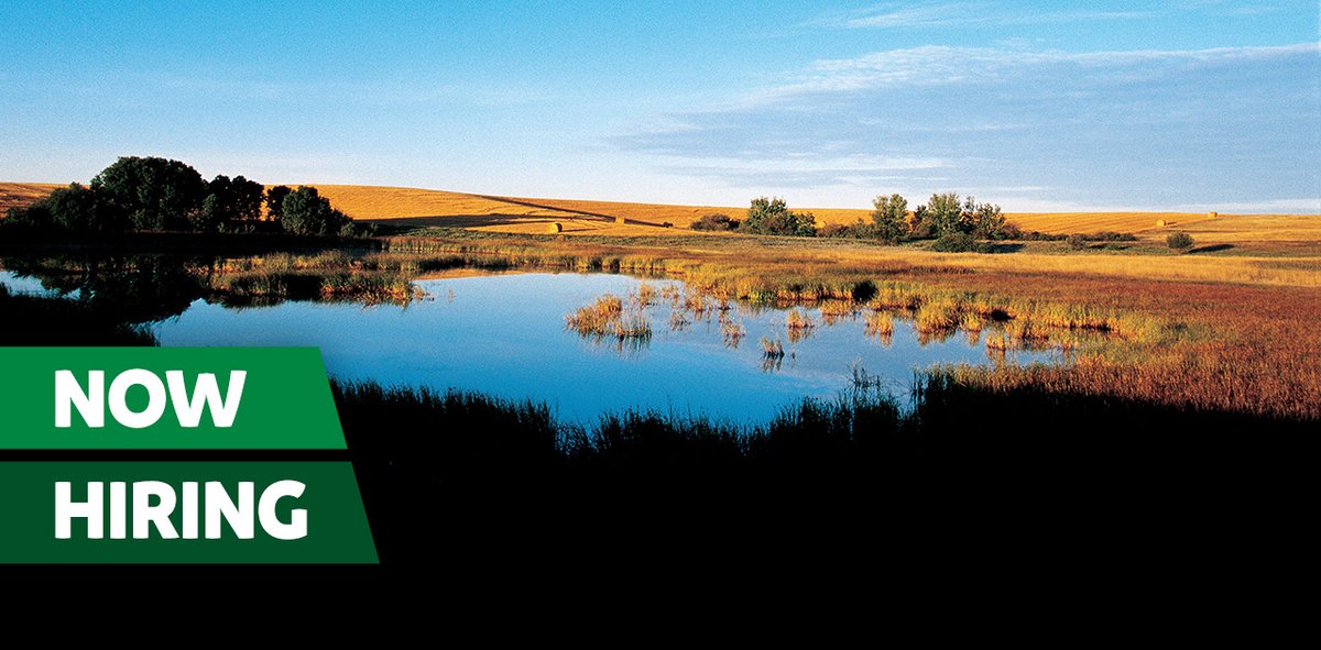 ducanada's tweet photo. We are seeking an outgoing individual to join our Fundraising Team as Manager of Volunteer and Corporate Fundraising to support wetland #conservation.
Deadline: March 25
Location: Kamloops or remote in #BC
Learn more: https://t.co/fYr9f92g8v
#Kamloopsjobs https://t.co/JXZP9lFLUe