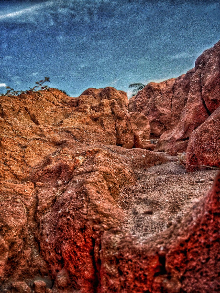 v_temi's tweet photo. Hi guys #NFTCommunity I just released my latest collection on @opensea named Skyscapes in Utopia 😊, kindly check it out https://t.co/NfUp46SmMl

#NFTMarketplace #nftphotography #nftcollectors #PolygonNFT #NFTProject https://t.co/wzHzmng9DM