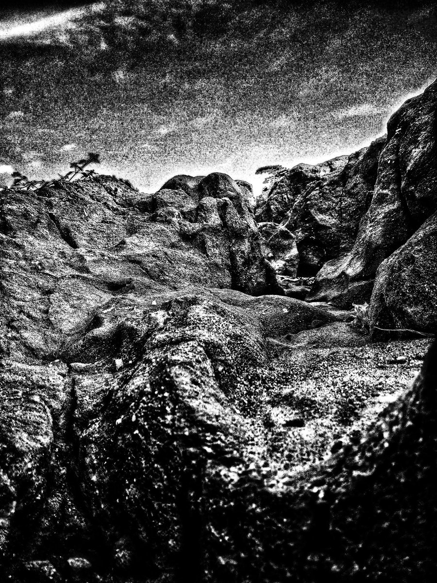 v_temi's tweet photo. Hi guys #NFTCommunity I just released my latest collection on @opensea named Skyscapes in Utopia 😊, kindly check it out https://t.co/NfUp46SmMl

#NFTMarketplace #nftphotography #nftcollectors #PolygonNFT #NFTProject https://t.co/wzHzmng9DM