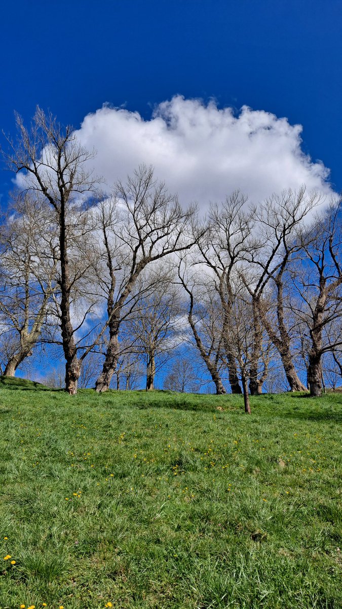 Entre algodones...🙂🙃