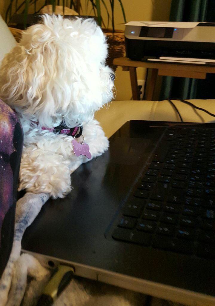 ADHD123SUE's tweet photo. #RememberWhenWeThought computers where just for work? https://t.co/7B6RlAiLF5