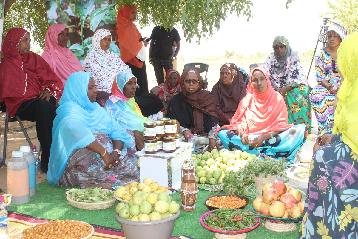 PNUDDjibouti's tweet photo. For #IWD2022, Women initiative organized #greentalk, with the support of @UNDPjibouti &amp; @EUaDjibouti  highlighting the voices of rural women on greening actions in different regions. Enriching exchanges on their challenges in promoting sustainable development in #Djibouti https://t.co/AzgS8Lll9U