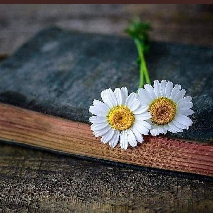 uzayliibirii's tweet photo. Ne kadar zordur aslında #sevip ’de seviyorum❤️diyememek…
#Görüp ’de görmemezlikten gelmek…
Yaşadığını #bilip ’de benim için #öldü demek...!
#CanYuecel https://t.co/4kwUeMmAl6