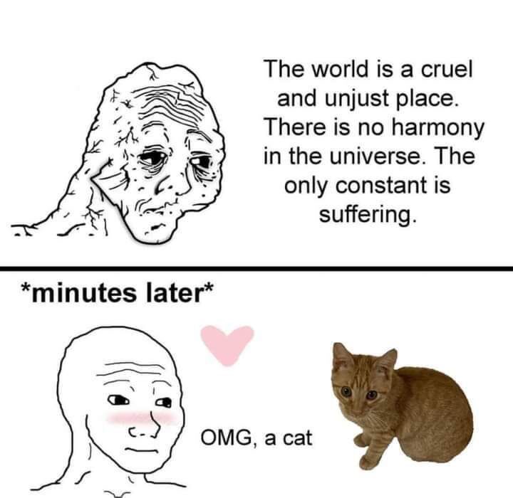 ⋆♱✮♱⋆ (@fiimcunt) on Twitter photo 