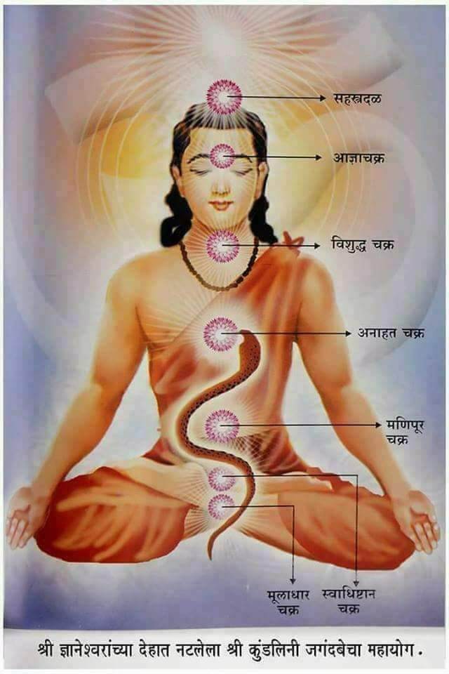 Rabina59172141's tweet photo. #HumansDivineTransformation One cannot make material & spiritual progress with a diseased body &/or mind. Guru Siyag Siddhayoga practice starts an internal cleansing process that removes all diseases from the core allowing the practitioner to focus on their goals https://t.co/R2MkfIox9d