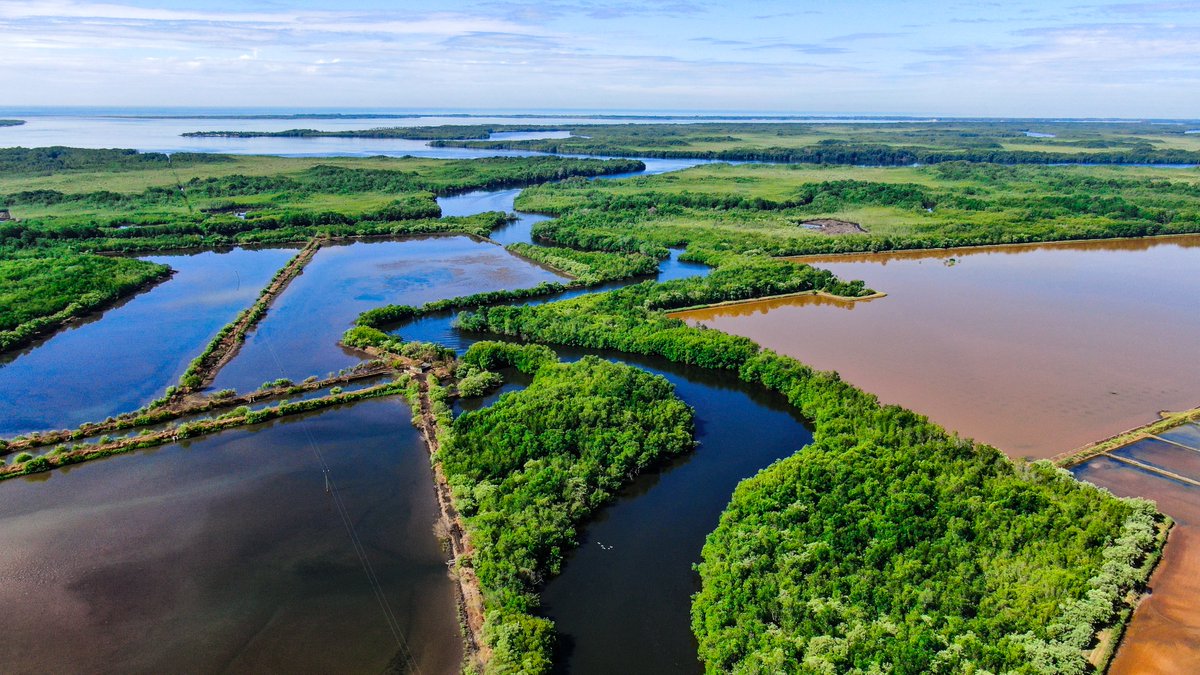 Live an unforgettable experience among mangroves and migratory birds that live in this place.

📍Puerto Parada, Usulután 
Find info about hotels, restaurants and experiences in the link below. 🔗elsalvador.travel