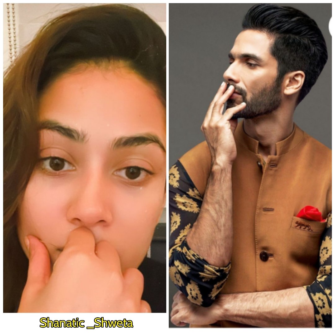 ShanaticShweta's tweet photo. Love is composed of a single soul inhabiting two bodies...❤️❤️
#ShaMira 😘😘
#charmingcouple💕 #alwaysadorable #alwaysandforever 😘😘
@shahidkapoor 😘😘 https://t.co/2GMewlqync