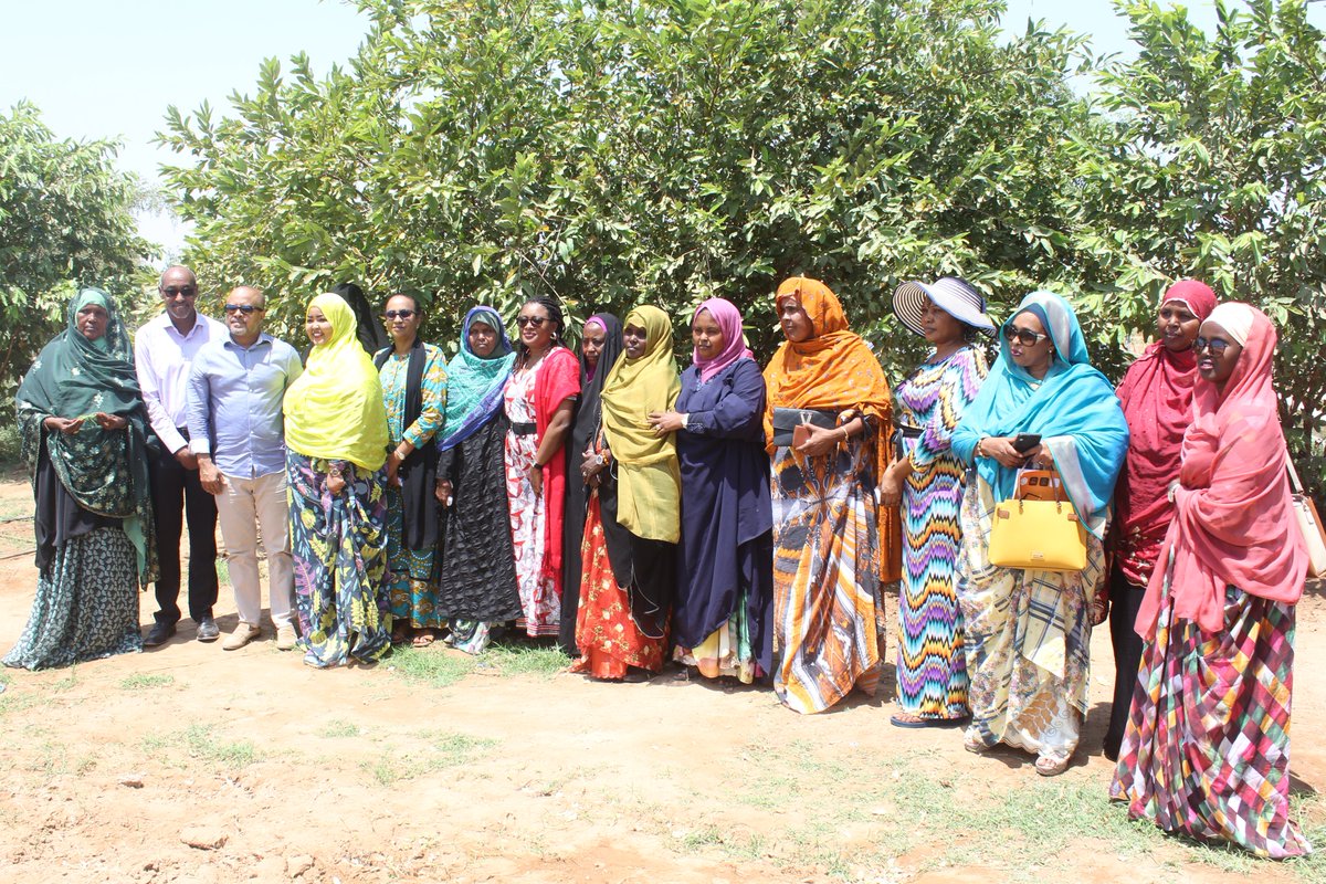 PNUDDjibouti's tweet photo. For #IWD2022, Women initiative organized #greentalk, with the support of @UNDPjibouti &amp; @EUaDjibouti  highlighting the voices of rural women on greening actions in different regions. Enriching exchanges on their challenges in promoting sustainable development in #Djibouti https://t.co/AzgS8Lll9U