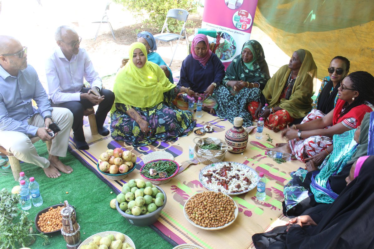 PNUDDjibouti's tweet photo. For #IWD2022, Women initiative organized #greentalk, with the support of @UNDPjibouti &amp; @EUaDjibouti  highlighting the voices of rural women on greening actions in different regions. Enriching exchanges on their challenges in promoting sustainable development in #Djibouti https://t.co/AzgS8Lll9U