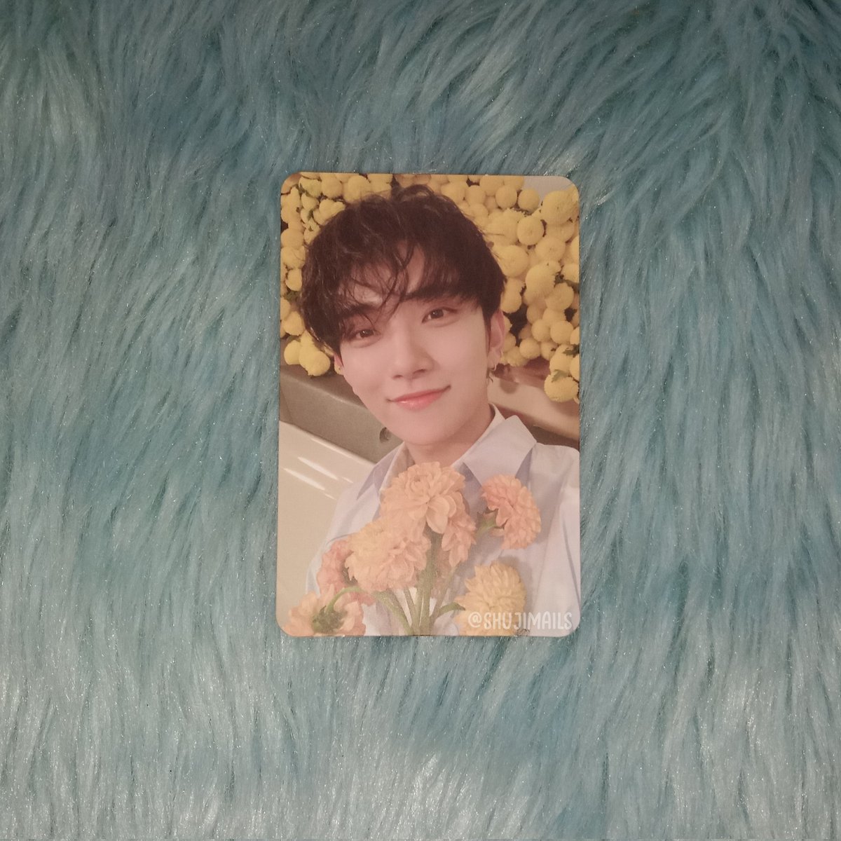 shujimails's tweet photo. ꒰ #shujihaul 🛒 ꒱
╰ my most wanted joshua pc came home today !! 😭💥 pati freebies may sparks eueueueue thank you so much bff @ellrchive , sinabi mo agad nung may nakita kang shua dangwa 😻 aaaaaaa omg kilig saur much !! 😭💗
— #ellrigato https://t.co/AQaDynfFsE
