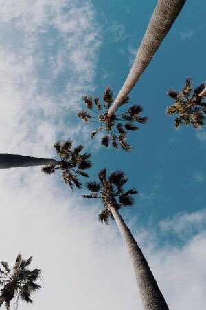 Photo 11:11 (@justqictures) on Twitter photo 