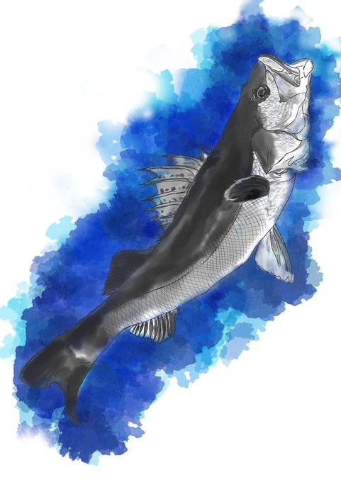 シーバスのtwitterイラスト検索結果