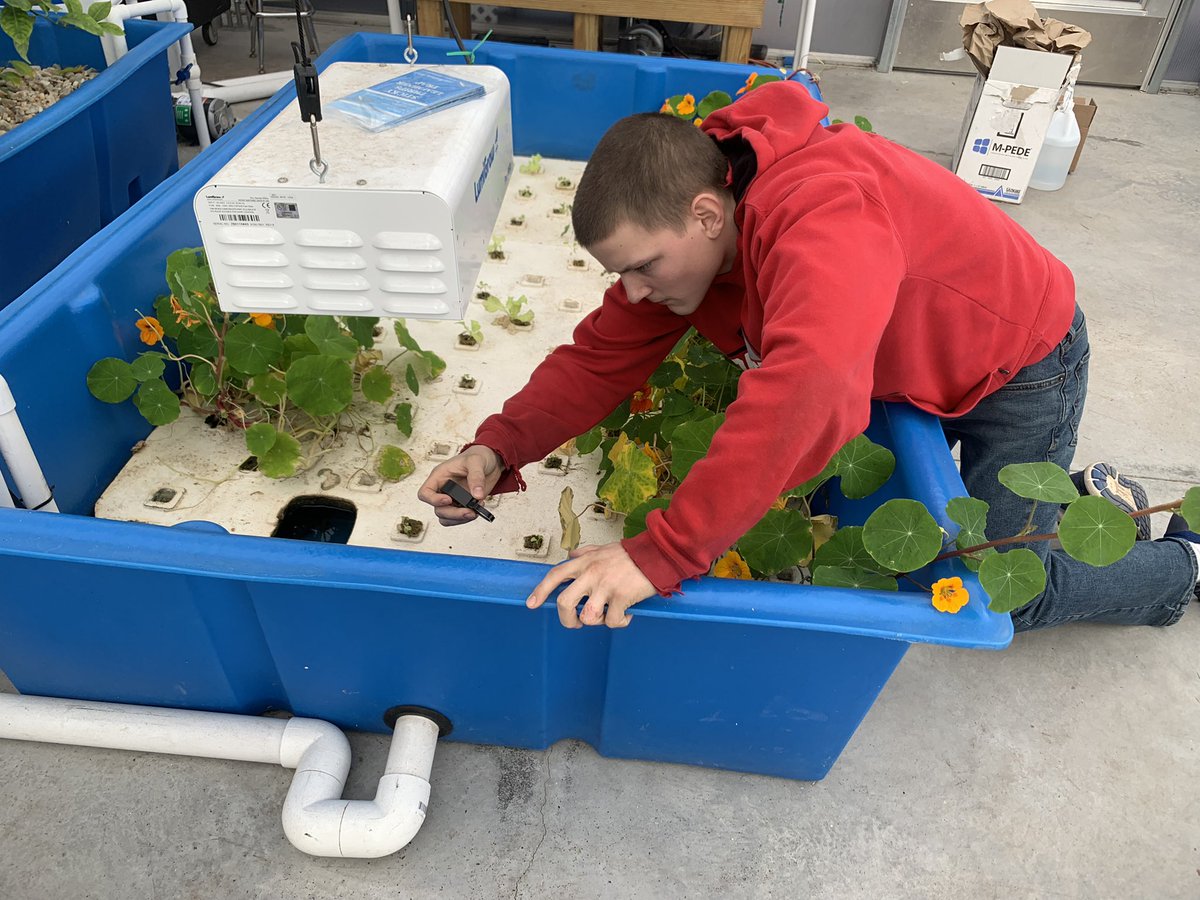 Lacey Walker tweet media