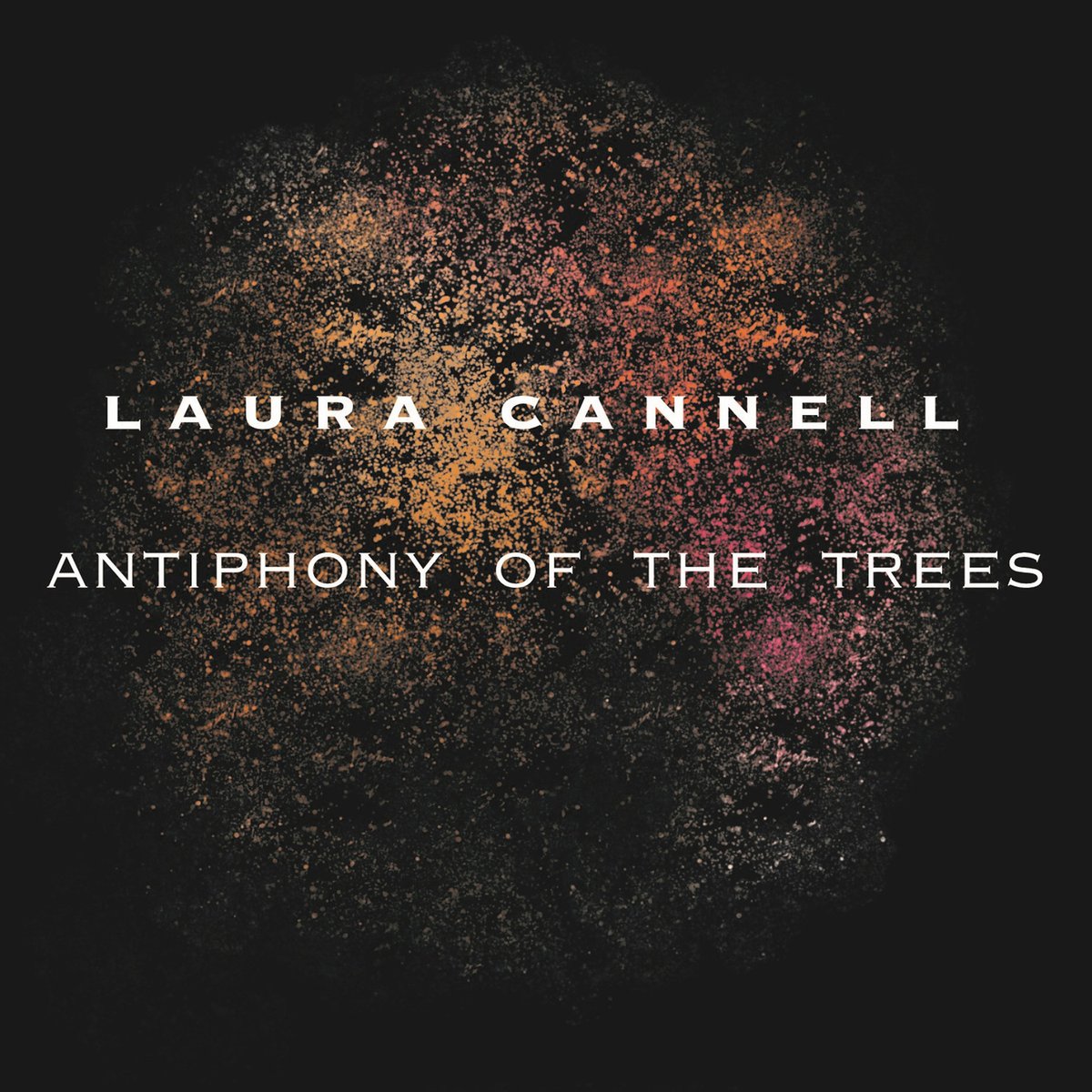 You didn’t know how much you needed avant-recorder music in your life until now… Laura Cannell's (@laurarecorder) beautiful new album of improvised minimalist compositions, ‘Antiphony of the Trees, is out now on <a href="/BrawlRecords/">Brawl Records</a>. Buy/listen here: radio-on.co.uk/products/laura… #newrelease